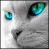 Avatar utilizator