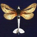 Avatar utilizator