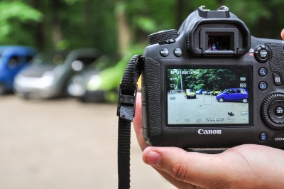 "Picture in picture", padurea Pustnicu