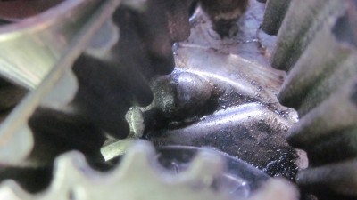 IMG_6279.JPG