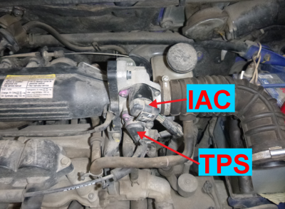IAC_TPS