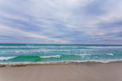 IMG_5115.JPG