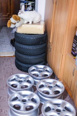 IMG_2591.jpg