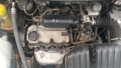 20171015_073925.jpg