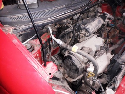 20180718_121451.jpg