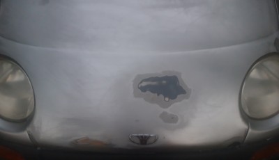 20200817_093116.jpg